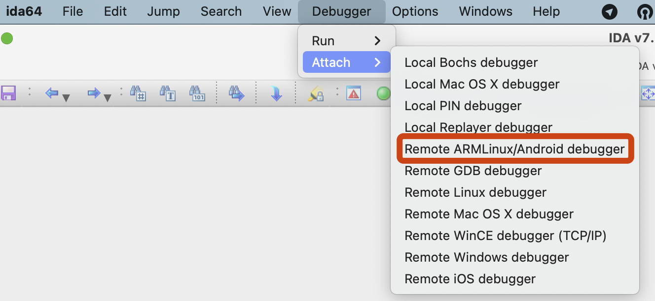 Dynamic Debugging